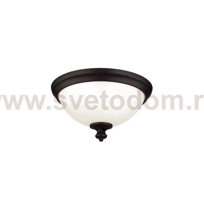 Потолочный светильник Natural concept FE/PARKMAN/F OB PARKMAN