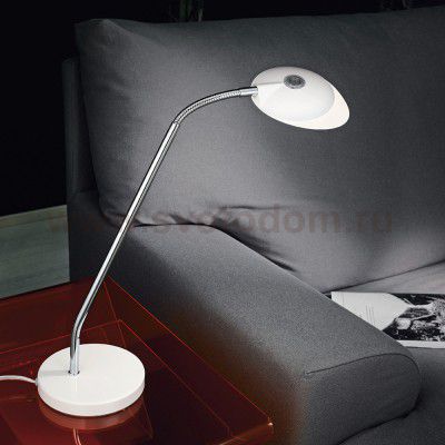 Офисная настольная лампа Eglo 93648 CANETAL