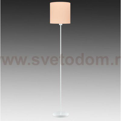 Торшер Eglo 97566 PASTERI-P