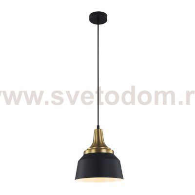 Подвесной светильник Escada 1102/1S E27*40W Black ARIES