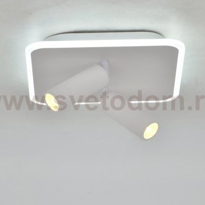 Настенно-потолочный свет Escada 20024SMA/01 LED 31W 4000K белый