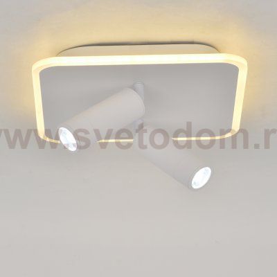 Настенно-потолочный свет Escada 20024SMA/01 LED 31W 4000K белый