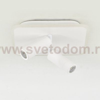 Настенно-потолочный свет Escada 20024SMA/01 LED 31W 4000K белый