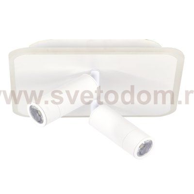 Настенно-потолочный свет Escada 20024SMA/01 LED 31W 4000K белый