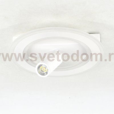 Настенно-потолочный свет Escada 20045SMA/01 LED 26W 4000K белый