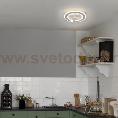 Настенно-потолочный свет Escada 20045SMA/01 LED 26W 4000K белый