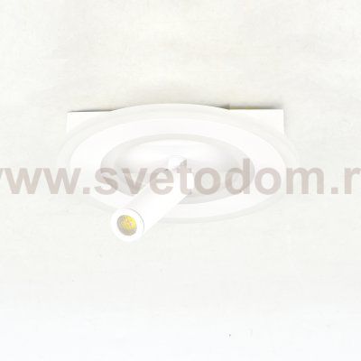 Настенно-потолочный свет Escada 20045SMA/02 LED 38W 4000K белый