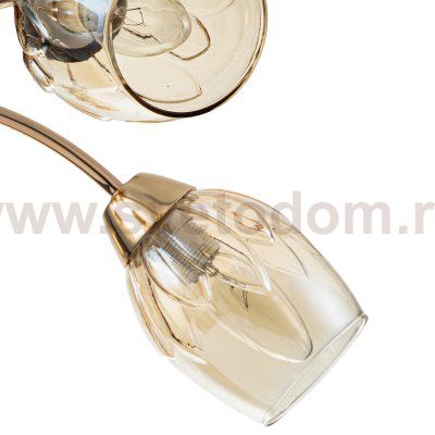 Потолочный светильник Escada 663/5P E14*40W Gold ALLIUM