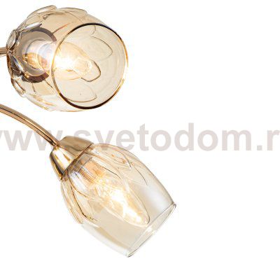 Потолочный светильник Escada 663/5P E14*40W Gold ALLIUM