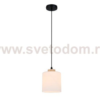 Подвесной светильник 160002/A/1P E27*60W Black