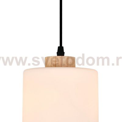 Подвесной светильник 160002/A/1P E27*60W Black