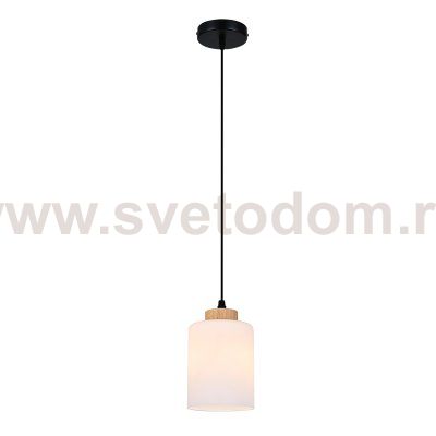 Подвесной светильник 160002/B/1P E27*60W Black