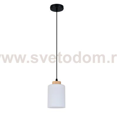 Подвесной светильник 160002/B/1P E27*60W Black