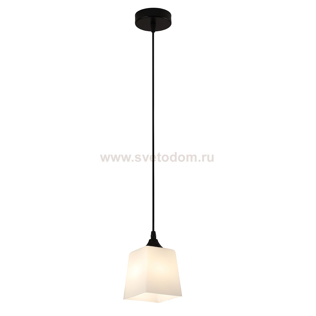 Подвесной светильник 160003/1P E27*60W Black