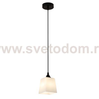 Подвесной светильник 160003/1P E27*60W Black