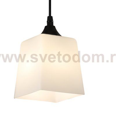Подвесной светильник 160003/1P E27*60W Black