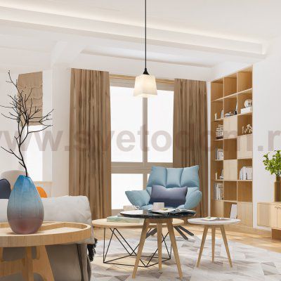 Подвесной светильник 160003/1P E27*60W Black