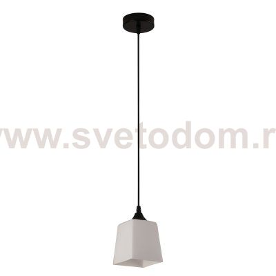 Подвесной светильник 160003/1P E27*60W Black