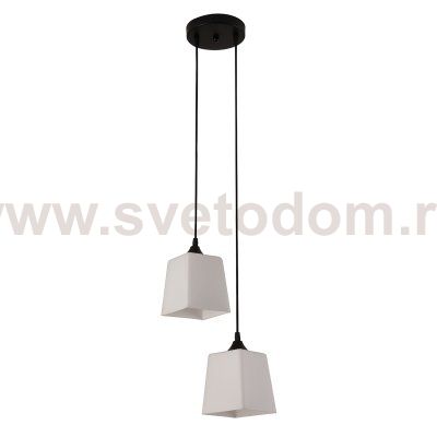 Подвесной светильник 160003/2P E27*60W Black