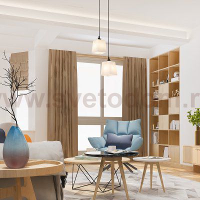 Подвесной светильник 160003/2P E27*60W Black