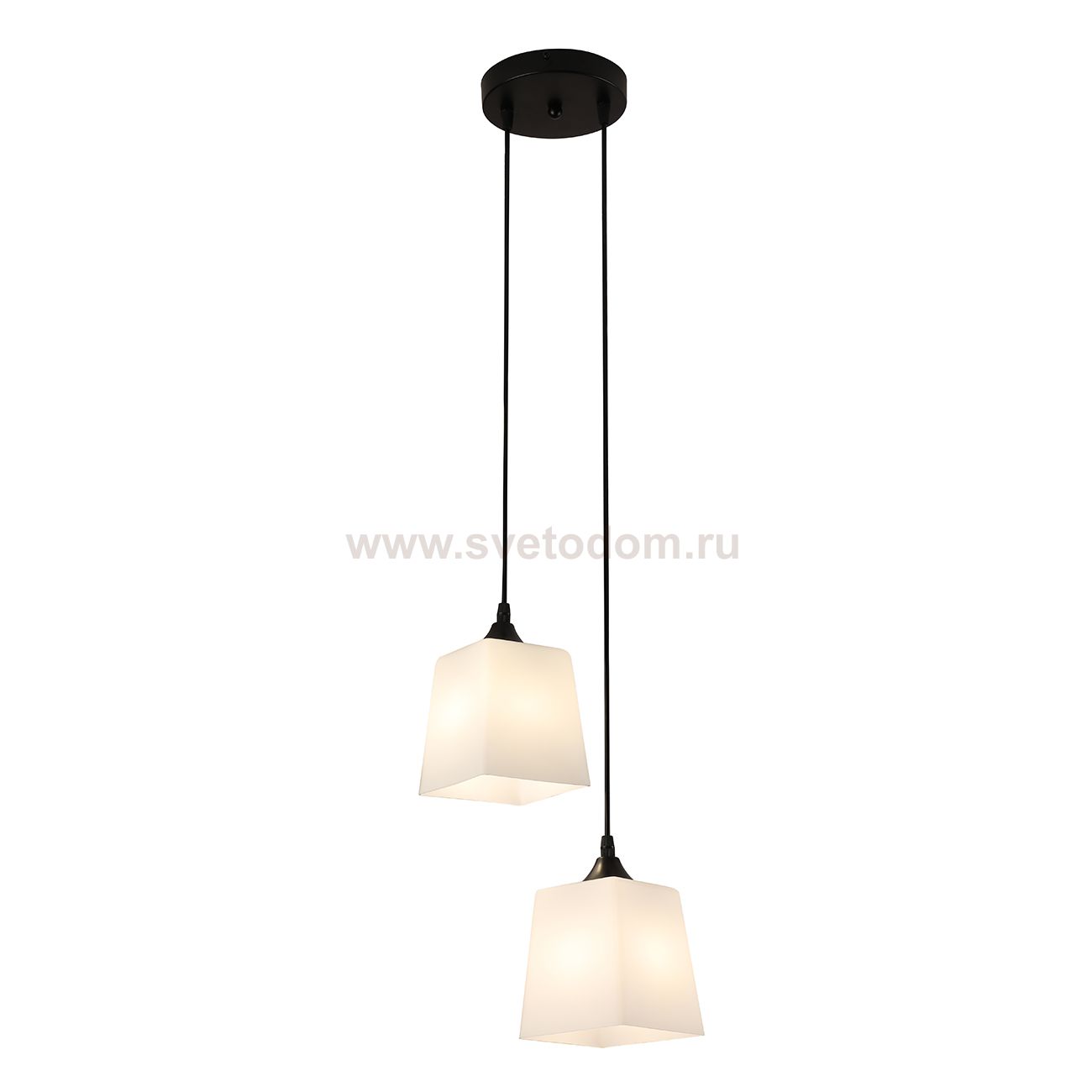 Подвесной светильник 160003/2P E27*60W Black