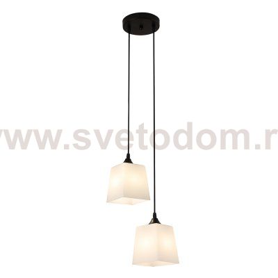 Подвесной светильник 160003/2P E27*60W Black