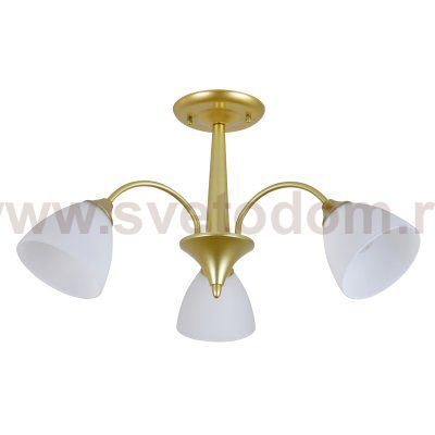 Светильник на штанге 150003/3R E27*60W Gold