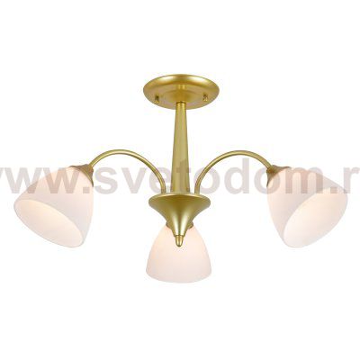 Светильник на штанге 150003/3R E27*60W Gold