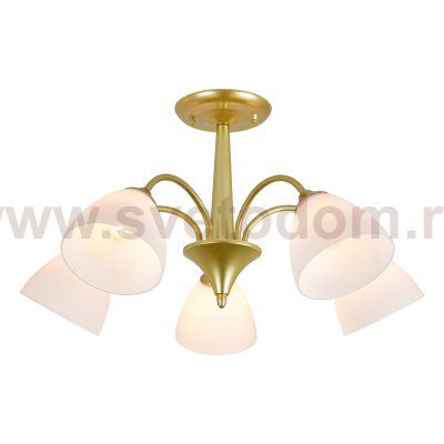 Светильник на штанге 150003/5R E27*60W Gold
