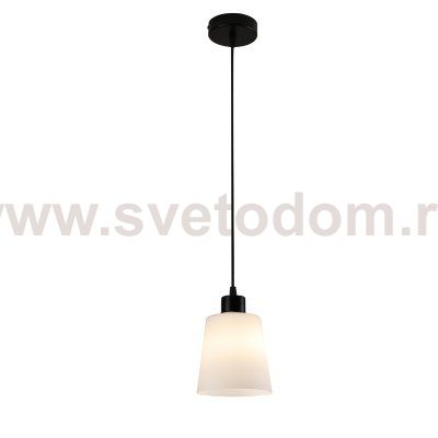 Подвесной светильник 120004/1P E27*60W Black