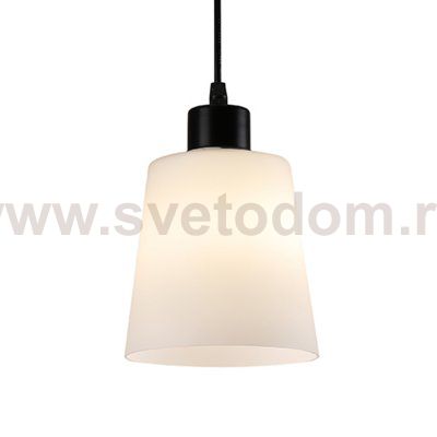 Подвесной светильник 120004/1P E27*60W Black