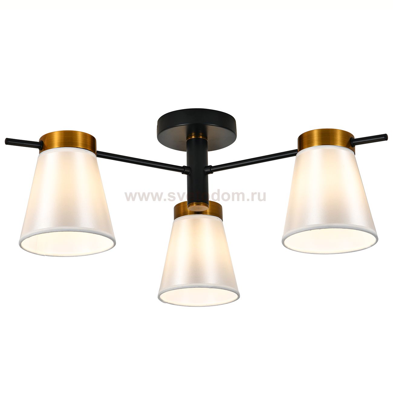 Светильник на штанге 120005/3R E14*40W Black/Gold