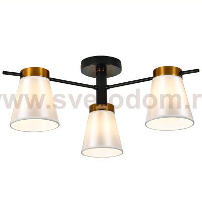 Светильник на штанге 120005/3R E14*40W Black/Gold