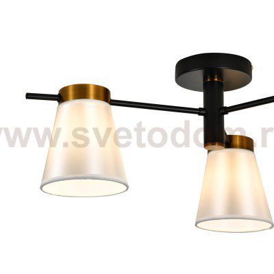 Светильник на штанге 120005/3R E14*40W Black/Gold