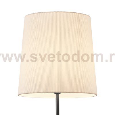 Напольный светильник 190001/1F E27*40W Black