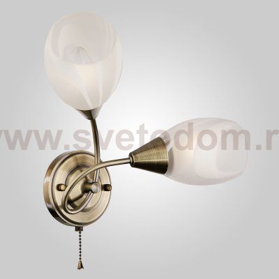 Бра с плафонами с лампочками LED Svetodom 2095700