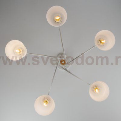 Потолочный светильник Eurosvet 70062/5 белый