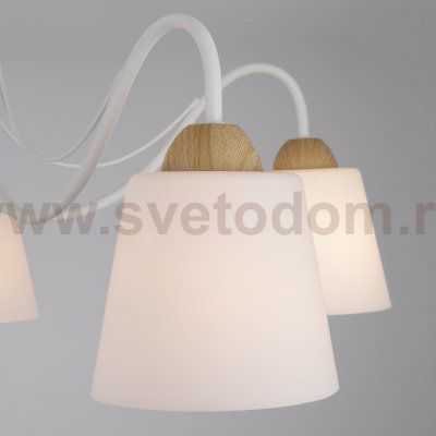 Потолочный светильник Eurosvet 70062/5 белый