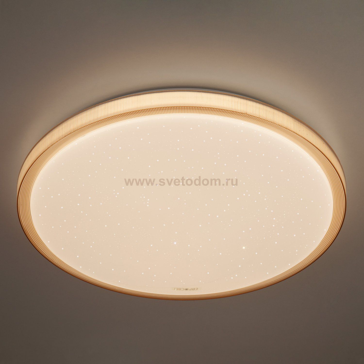 Потолочный светильник Eurosvet 40015/1 LED кофе
