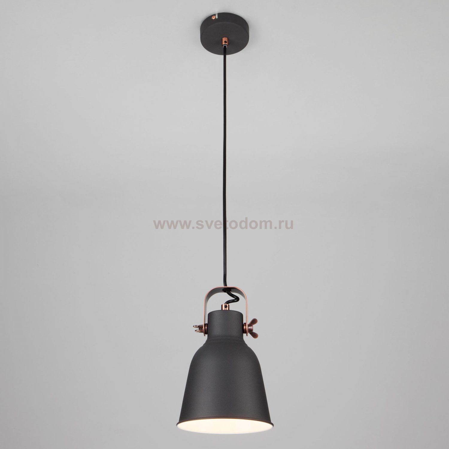 Светильник Eurosvet 50083/1 черный