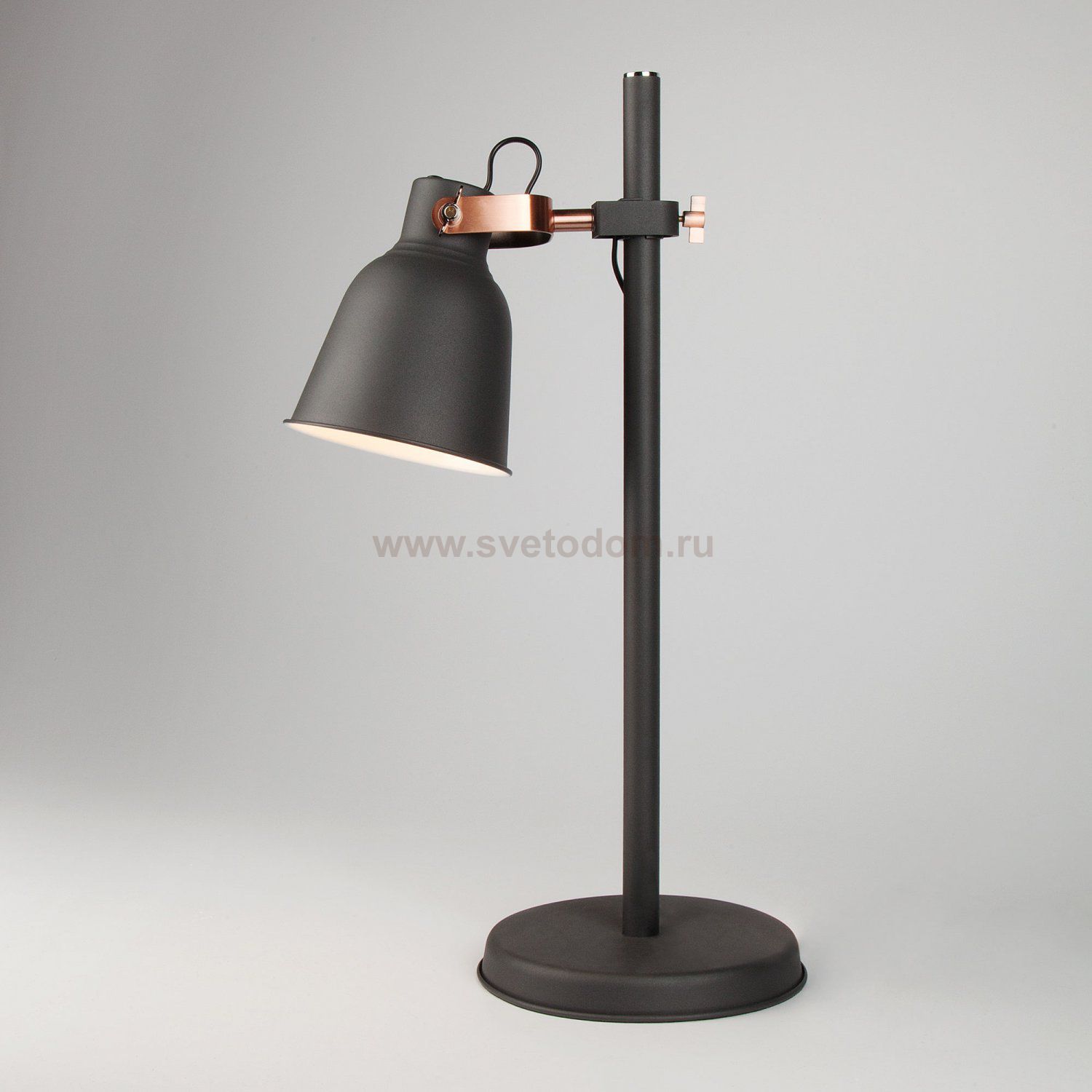 Светильник Eurosvet 01031/1 черный