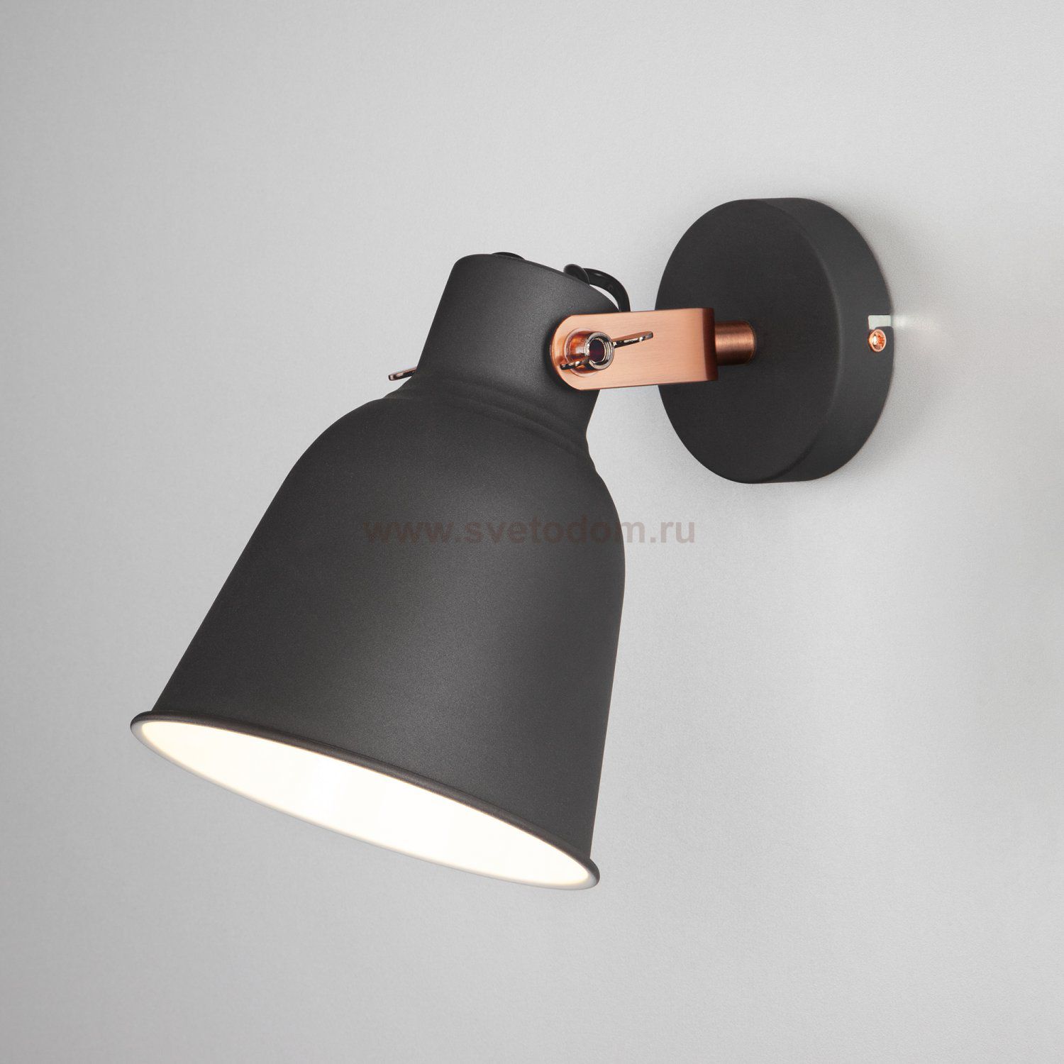 Светильник Eurosvet 70079/1 черный