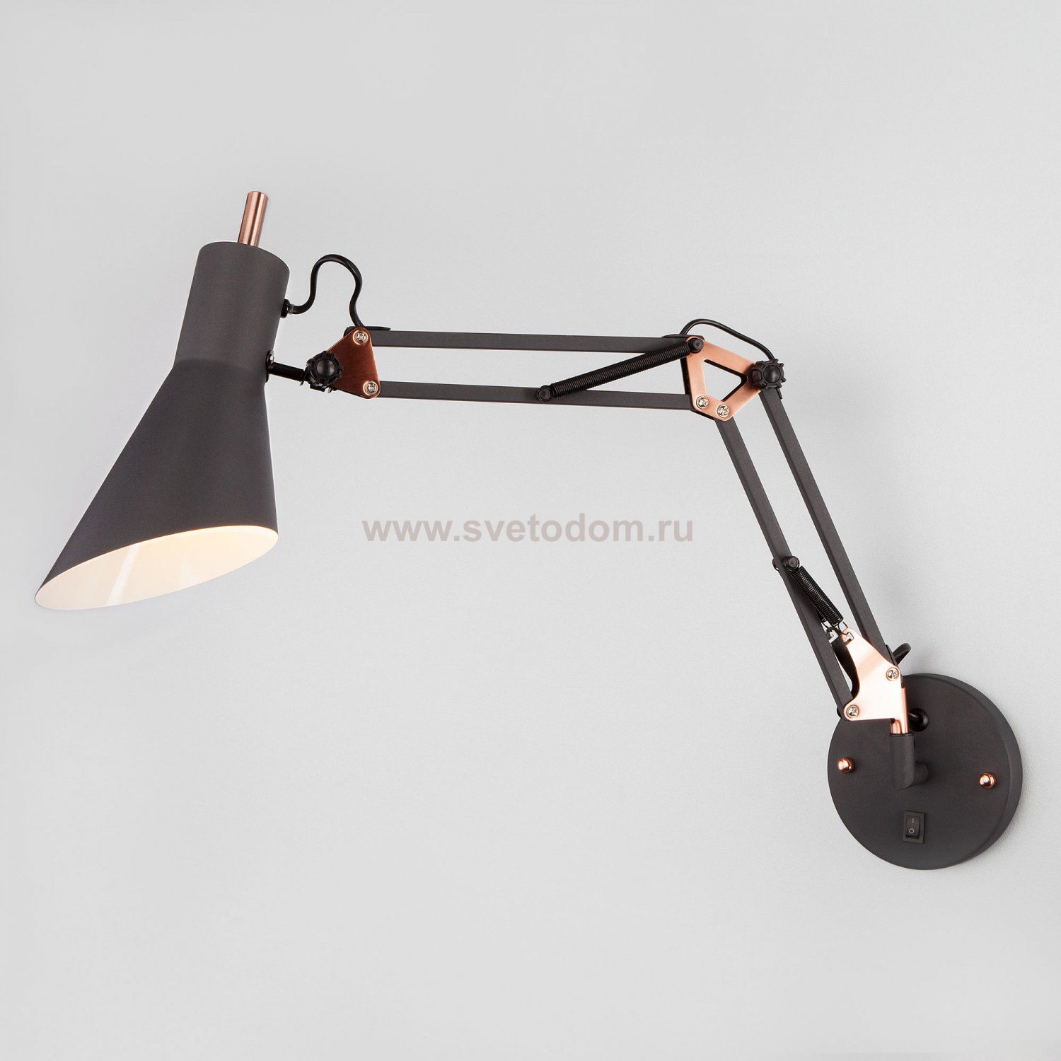 Светильник Eurosvet 70086/1 черный