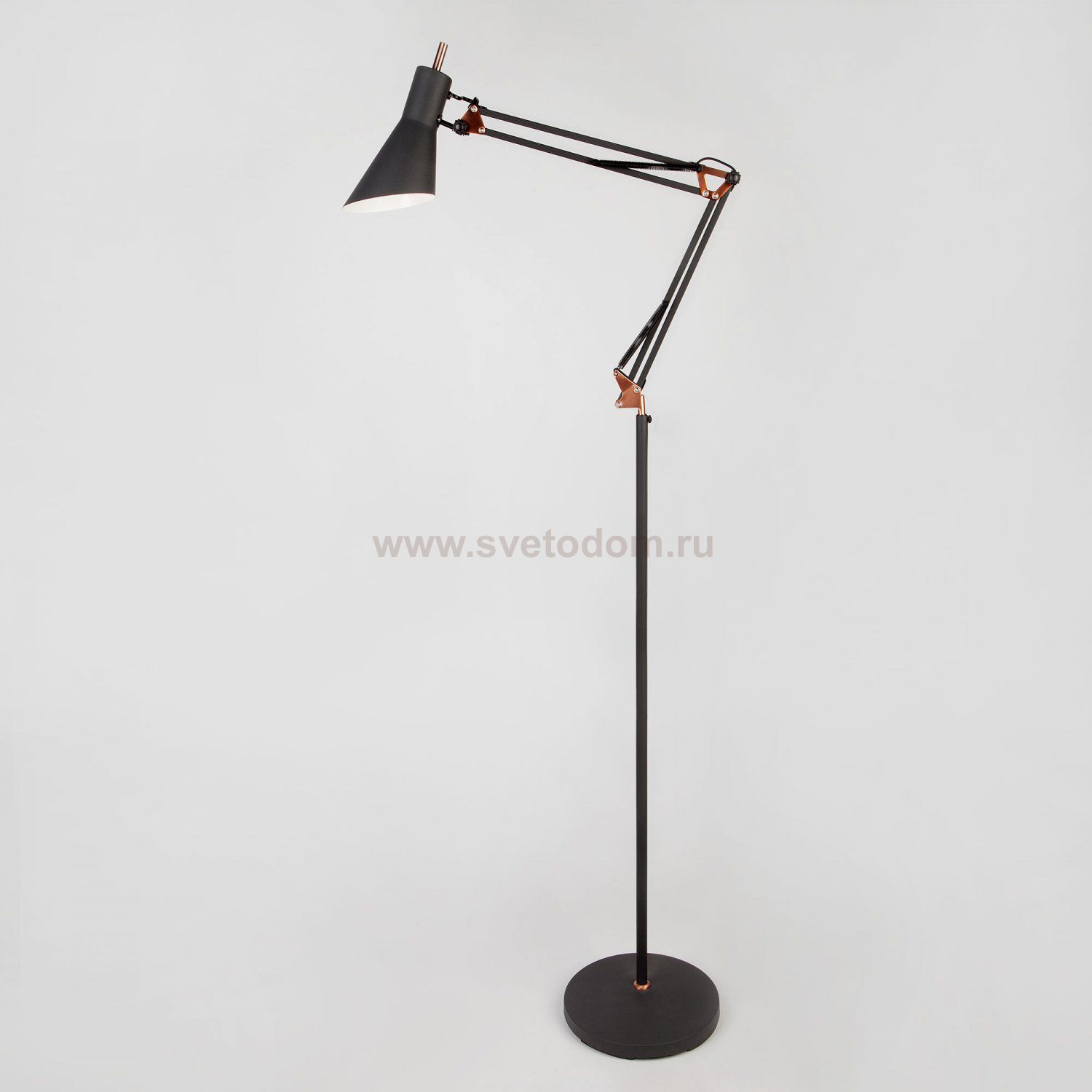 Светильник Eurosvet 01033/1 черный