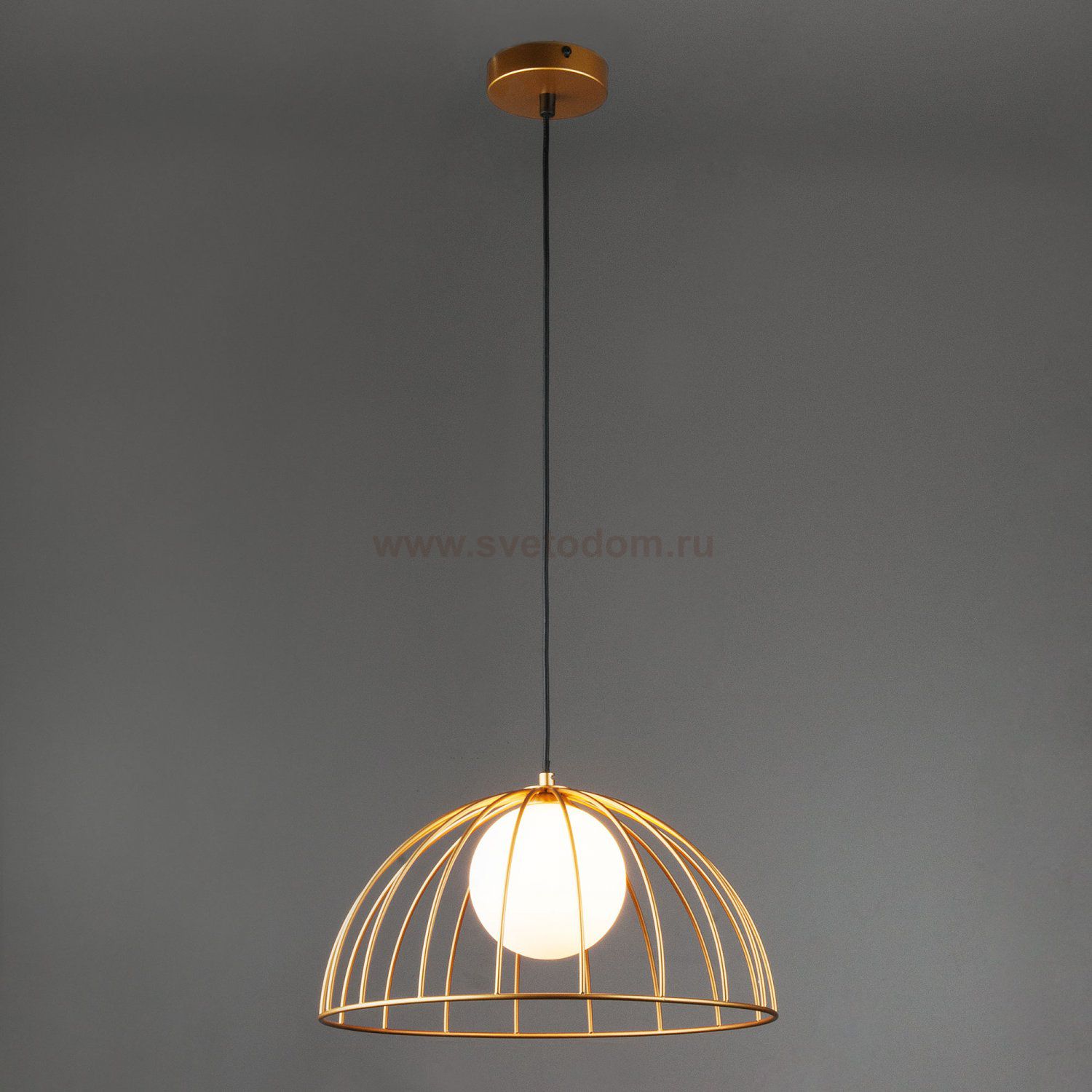 Светильник Eurosvet 50140/1 золотой