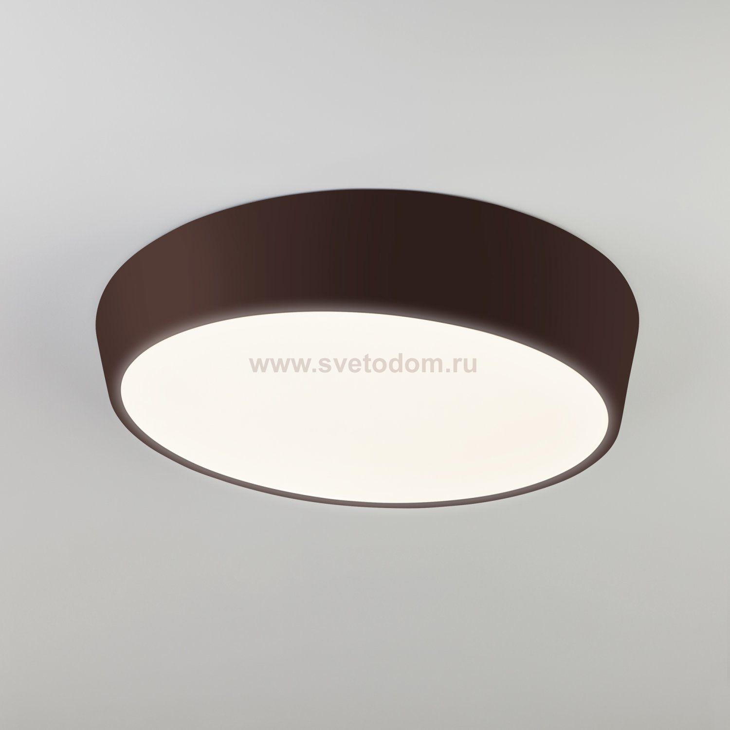 Светильник Eurosvet 90113/1 коричневый 75W