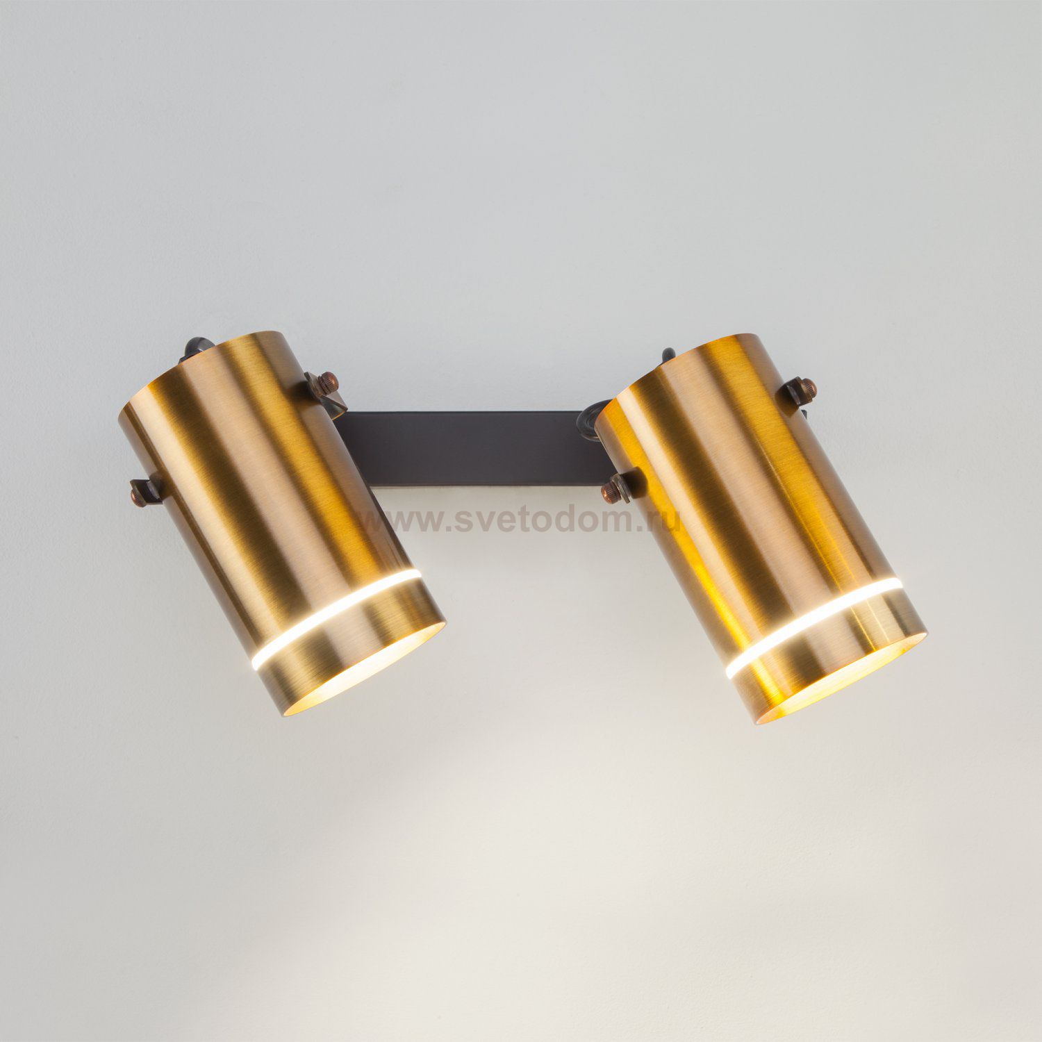 Светильник Eurosvet 20063/2 LED античная бронза 18W