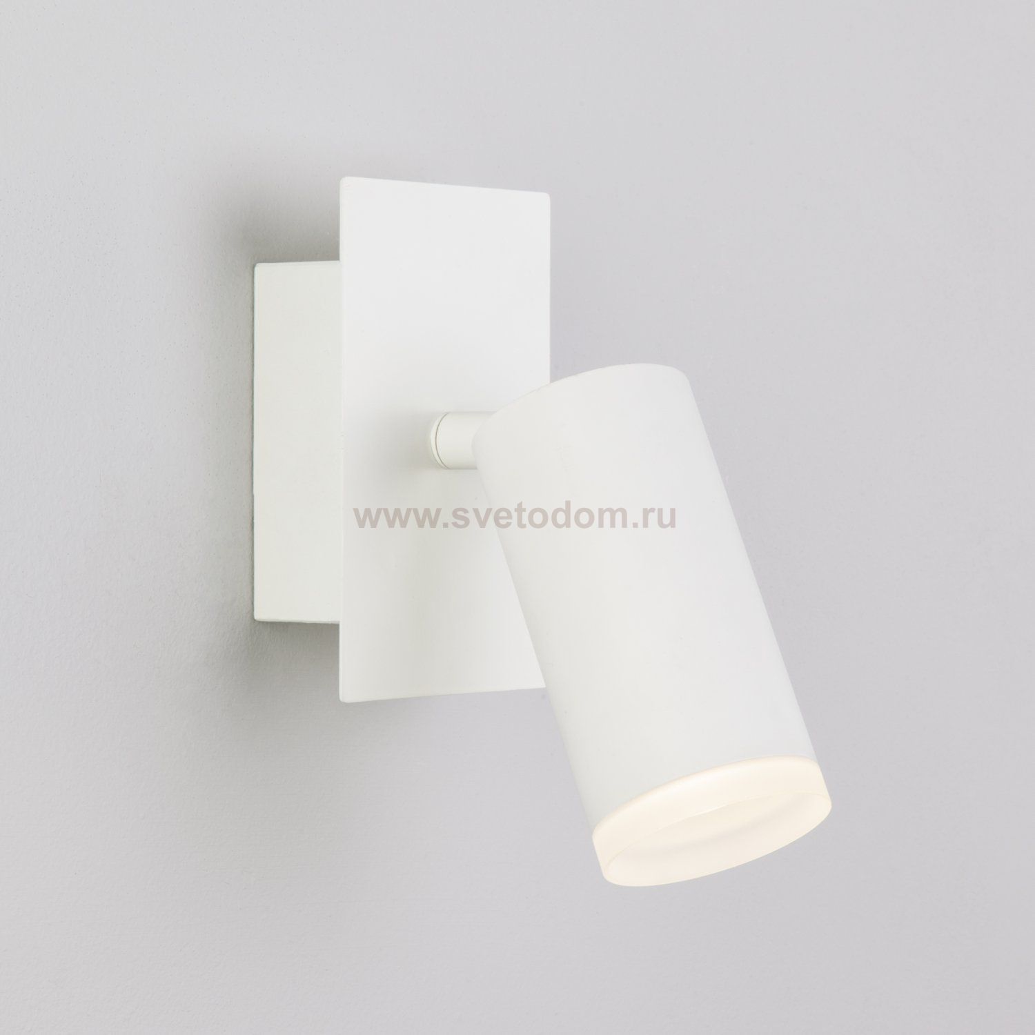 Светильник поворотный Eurosvet 20067/1 LED белый