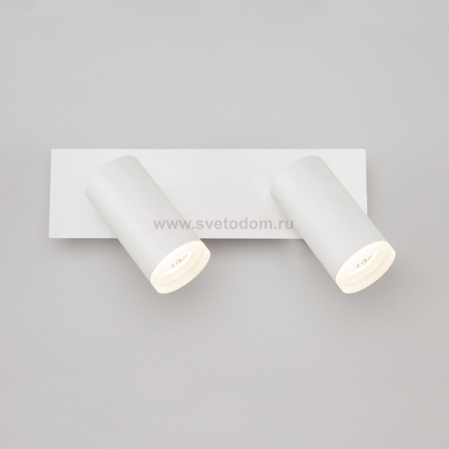 Светильник Eurosvet 20067/2 LED белый 10W