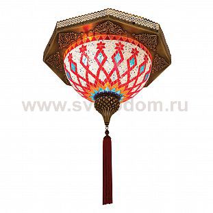 Потолочный светильник Exotic lamp 895 Night